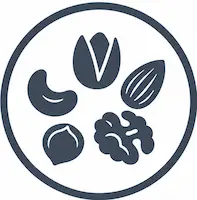 مغزیجات